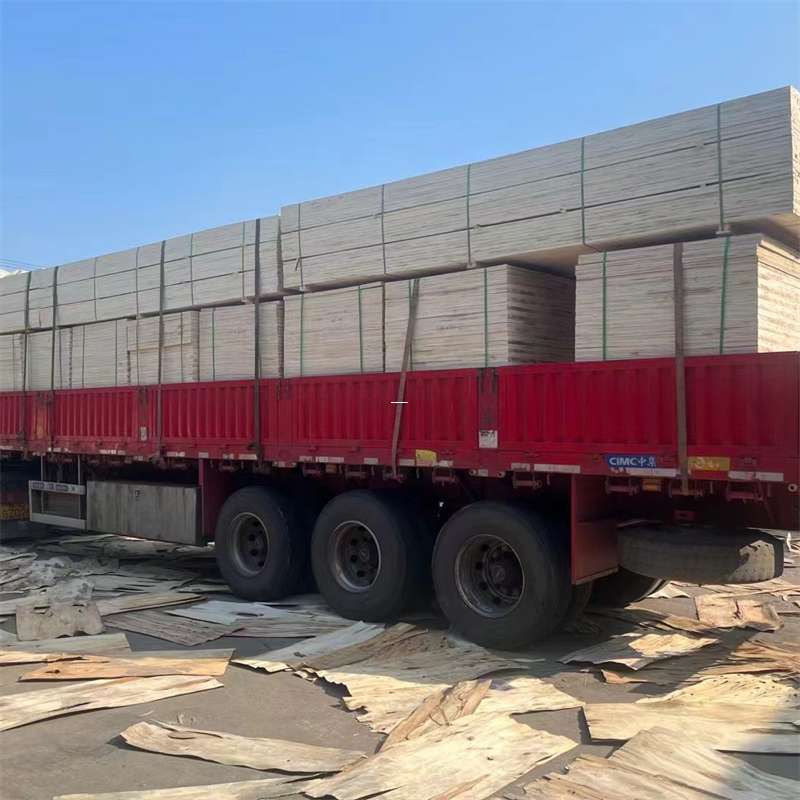 钟楼区探寻会东县进仓物流的多元运输奥秘